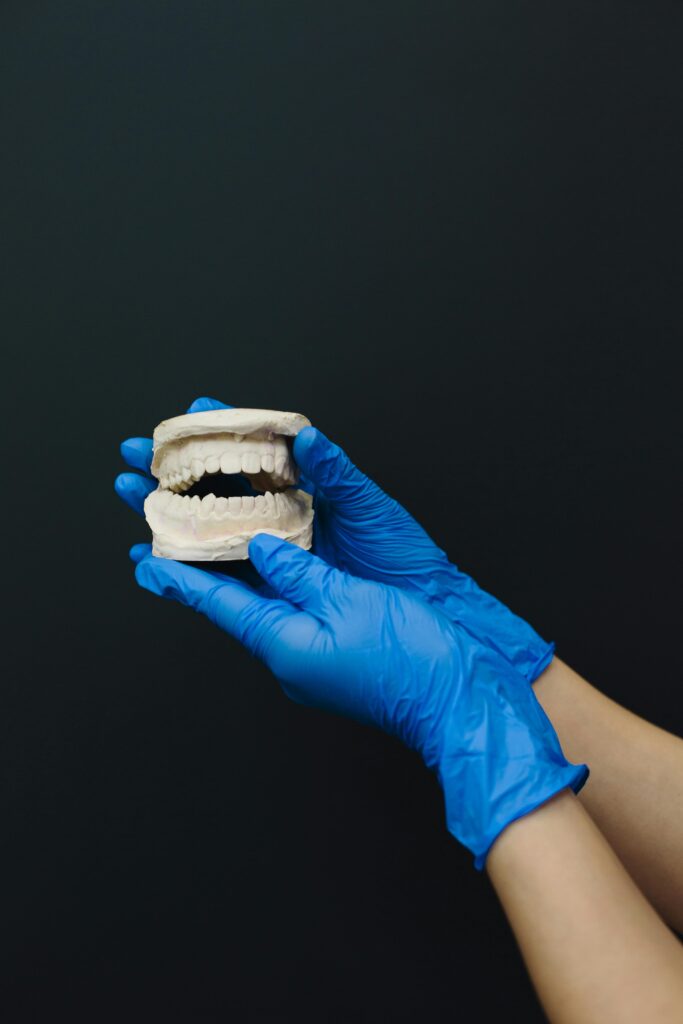 pexels photo 4687281 4687281 Detailed dental model held by hands in blue gloves, ideal for dental care themes.